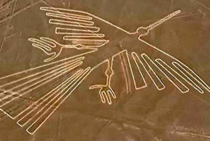 From Nazca: Flight in a light aircraft over the Nazca Lines