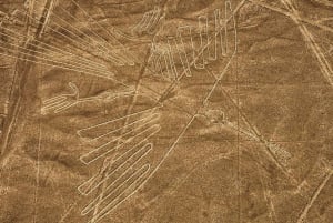 Desde Nazca: Vuelo en avioneta sobre las Líneas de Nazca