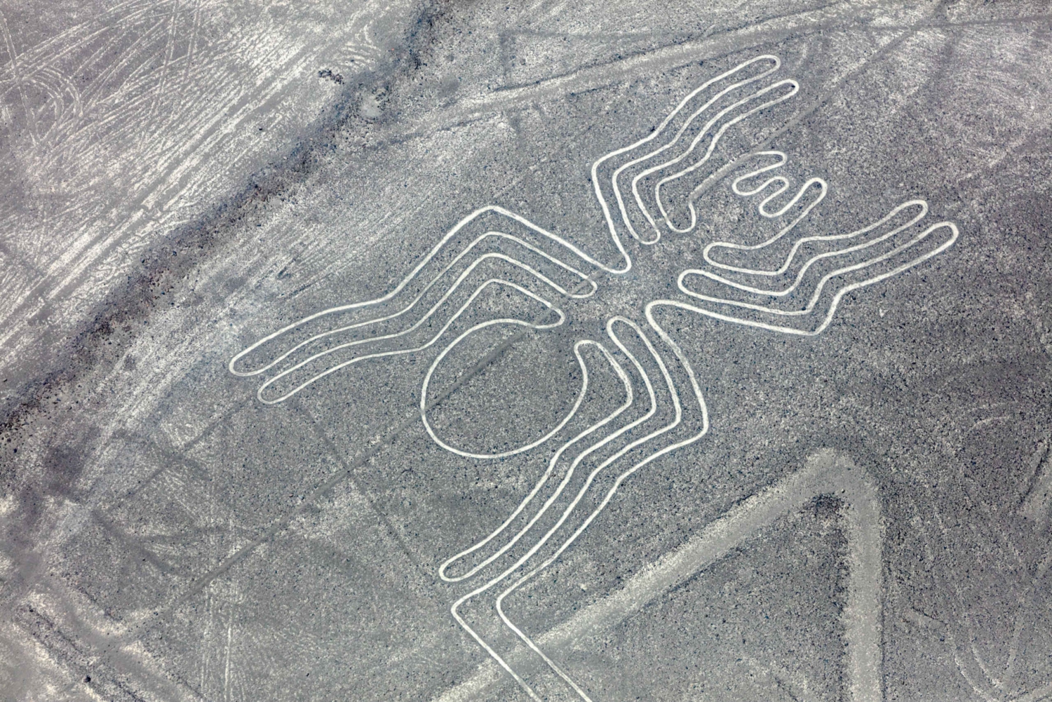 Best tours to Nazca Lines in Peru