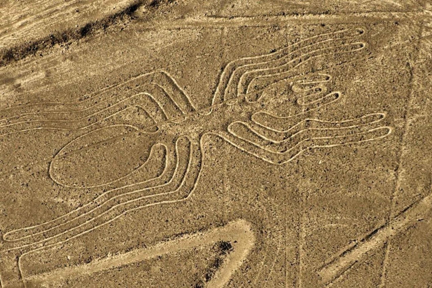 De Nazca: Voo de avião pequeno sobre as Linhas de Nazca
