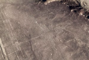 Da Nazca: Volo con piccolo aereo sopra le Linee di Nazca