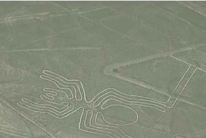 Fra Oasis Huacachina: Flyvning over Nazca-linjerne - Bus til Lima