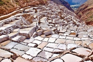Vanuit Ollantaytambo: Rondleiding door Moray, Maras en Chinchero