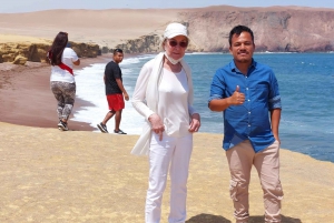 From Paracas: Ballestas Island Cruise & Paracas Reserve Tour