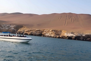 From Paracas: Ballestas Islands tour all Inclusive