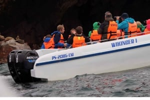 From Paracas: Ballestas Islands tour all Inclusive