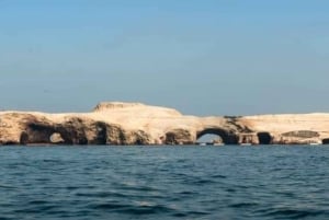 From Paracas: Ballestas Islands tour all Inclusive