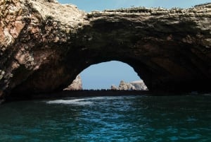 From Paracas: Ballestas Islands tour all Inclusive
