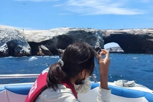 From Paracas: Ballestas Islands tour all Inclusive