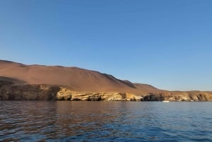 From Paracas: Ballestas Islands tour all Inclusive