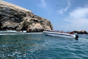 From Paracas: Ballestas Islands tour all Inclusive