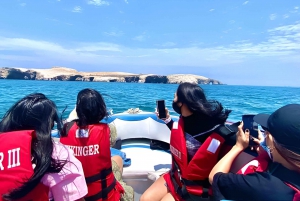 From Paracas: Ballestas Islands tour all Inclusive