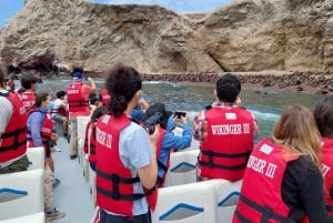 From Paracas: Ballestas Islands tour all Inclusive