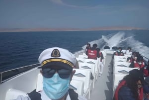 From Paracas: Ballestas Islands tour all Inclusive