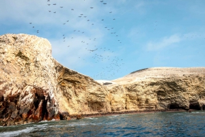 From Paracas: Ballestas Islands tour all Inclusive