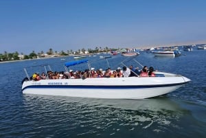 From Paracas: Ballestas Islands tour all Inclusive