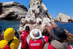 From Paracas: Ballestas Islands tour all Inclusive