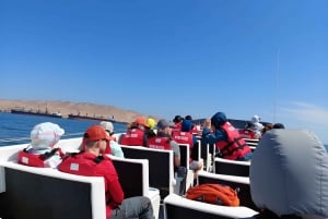 From Paracas: Ballestas Islands tour all Inclusive