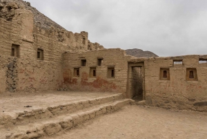 From Paracas: Ballestas Islands and Tambo Colorado Tour