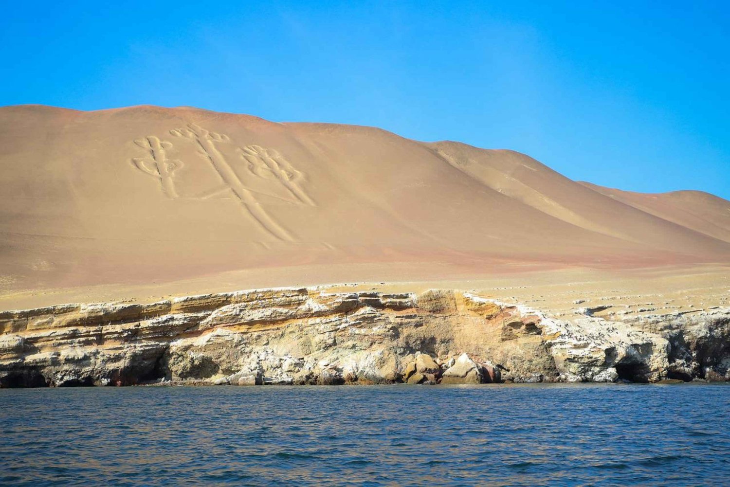 From Paracas: Ballestas Islands Cruise with Pickup