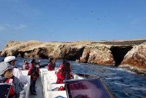 Från Paracas: Islas Ballestas och Paracas naturreservat