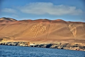 From Paracas: Ballestas Islands & Paracas National Reserve