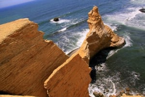 From Paracas: Ballestas Islands & Paracas National Reserve