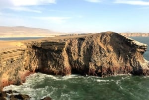 From Paracas: Ballestas Islands & Paracas National Reserve