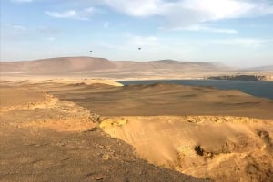 From Paracas: Ballestas Islands & Paracas National Reserve