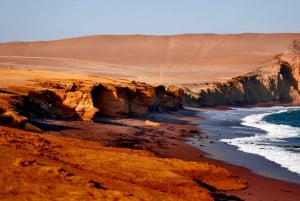 Best tours from Paracas, Peru