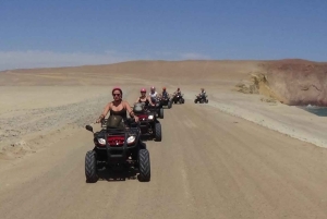 From Paracas: Ballestas Islands Tour + ATV