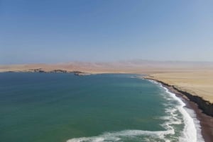 パラカス発：バレスタス島、パラカス、ワカチナ、デューンバギーをご案内します
