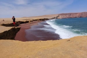 パラカス発：バレスタス島、パラカス、ワカチナ、デューンバギーをご案内します