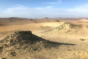 パラカス発：バレスタス島、パラカス、ワカチナ、デューンバギーをご案内します