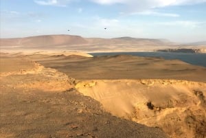 パラカス発：バレスタス島、パラカス、ワカチナ、デューンバギーをご案内します