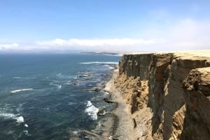 パラカス発：バレスタス島、パラカス、ワカチナ、デューンバギーをご案内します