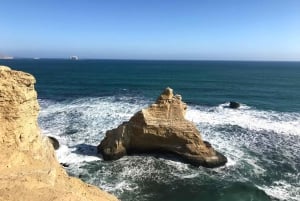 パラカス発：バレスタス島、パラカス、ワカチナ、デューンバギーをご案内します