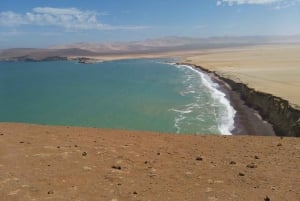 パラカス発：バレスタス島、パラカス、ワカチナ、デューンバギーをご案内します