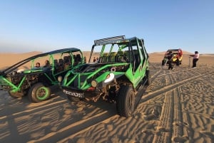 パラカス発：バレスタス島、パラカス、ワカチナ、デューンバギーをご案内します