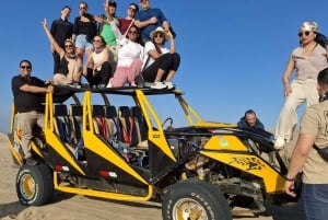 パラカス発：バレスタス島、パラカス、ワカチナ、デューンバギーをご案内します