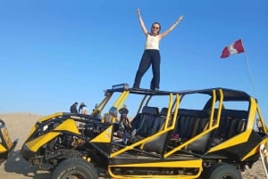 パラカス発：バレスタス島、パラカス、ワカチナ、デューンバギーをご案内します