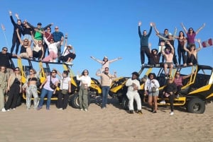 パラカス発：バレスタス島、パラカス、ワカチナ、デューンバギーをご案内します