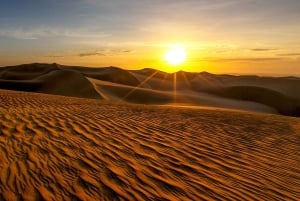 パラカス発：バレスタス島、パラカス、ワカチナ、デューンバギーをご案内します