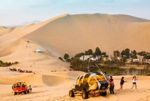 Von Paracas | Ausflug nach Ica und Huacachina