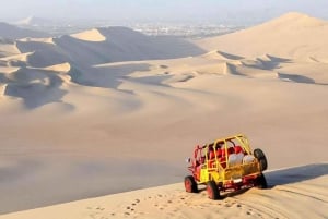 Von Paracas | Ausflug nach Ica und Huacachina