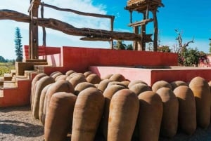 Von Paracas | Ausflug nach Ica und Huacachina