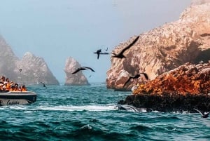 Из Паракаса: экскурсия на острова Бальестас
