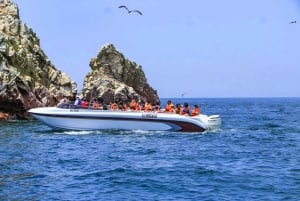 Из Паракаса: экскурсия на острова Бальестас