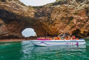 From Paracas: Guided Boat Tour to the Ballestas Islands