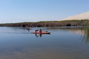 From Paracas: Mini Buggy Tour & Sandboarding at Oasis